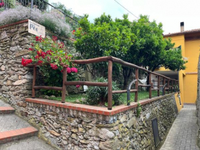 La cantina di Peo Finale Ligure